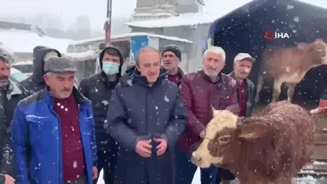 Yangında hayvanları telef olan çiftçiye 10 büyükbaş hibe edildi