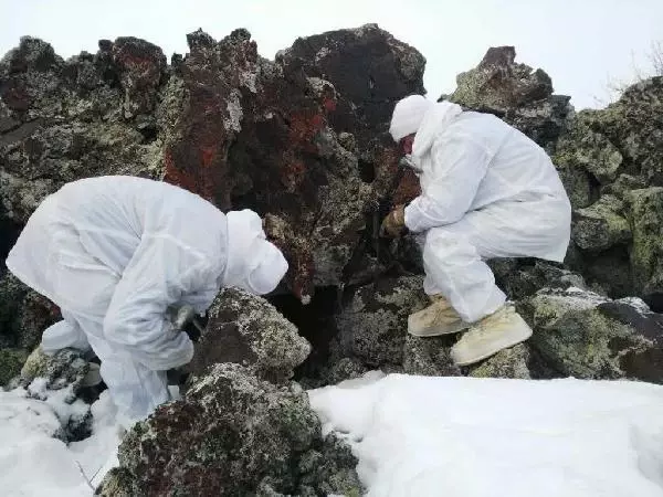 Son dakika: Ağrı, Kars ve Erzurum'da 'Eren Kış-10 Operasyonu' başlatıldı