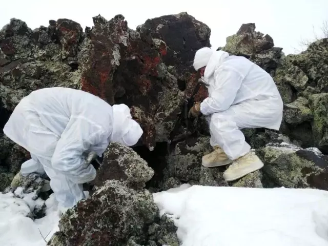 Ağrı, Kars ve Erzurum'da Eren Kış-10 Operasyonu başlatıldı