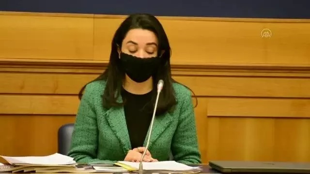 Azerbaycan Ombudsmanı, Karabağ'daki insan hakları ihlallerini İtalya'da anlattı