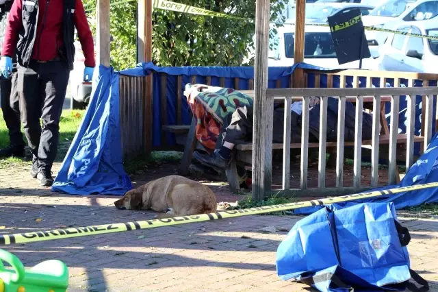 Son dakika haberi: Beslediği köpek ölü bulunan evsiz adamın başından bir an bile ayrılmadı