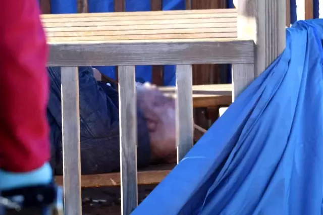 Son dakika haberi: Beslediği köpek ölü bulunan evsiz adamın başından bir an bile ayrılmadı