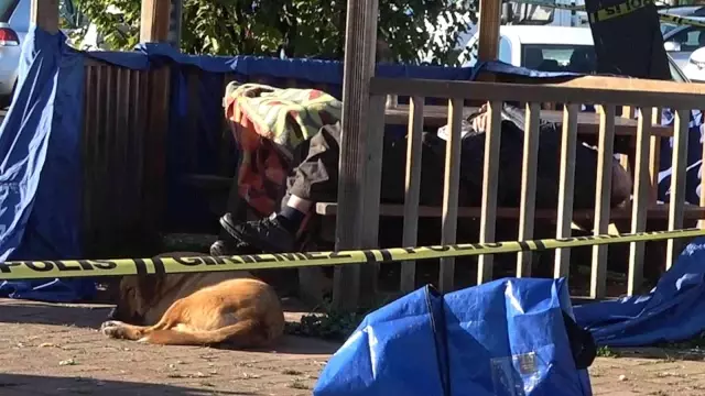 Son dakika haberi: Beslediği köpek ölü bulunan evsiz adamın başından bir an bile ayrılmadı