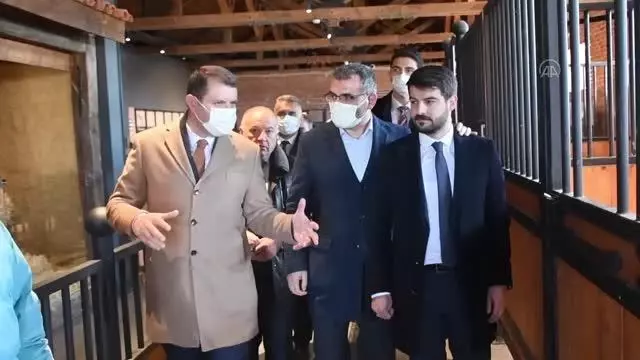 Dünya Engelliler Günü etkinlikleri