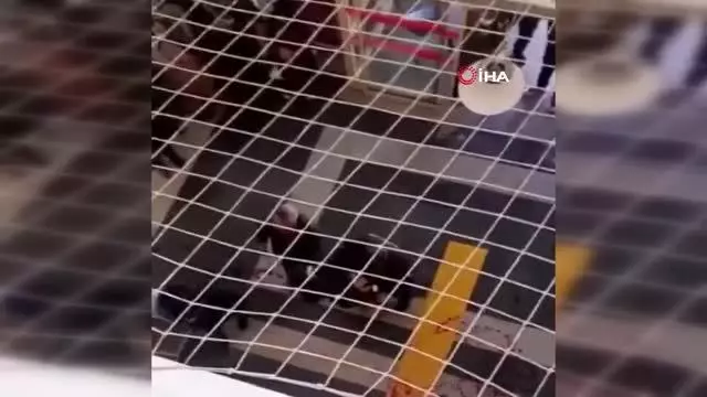 Son dakika haber | Hastanede karşılaşan husumetli aileler arasında bıçaklı kavga: 2'si ağır 3 yaralı