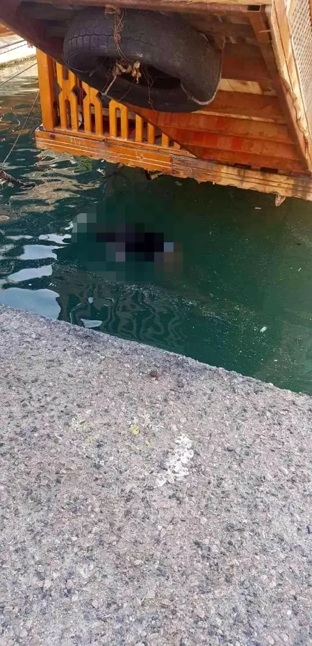 Mersin'de denizde erkek cesedi bulundu