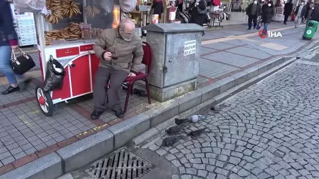 Rize'nin 'Güvercin babası' 13 yıldır kuşları elleriyle besliyor