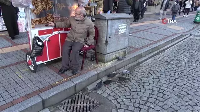 Rize'nin 'Güvercin babası' 13 yıldır kuşları elleriyle besliyor