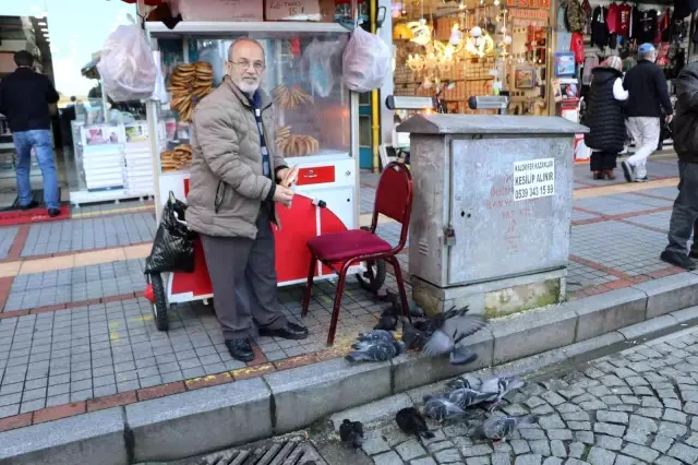 Rize'nin 'Güvercin babası' 13 yıldır kuşları elleriyle besliyor