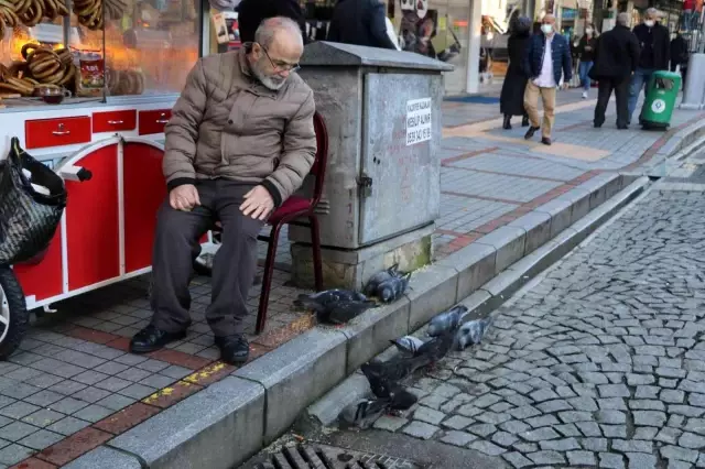 Rize'nin 'Güvercin babası' 13 yıldır kuşları elleriyle besliyor