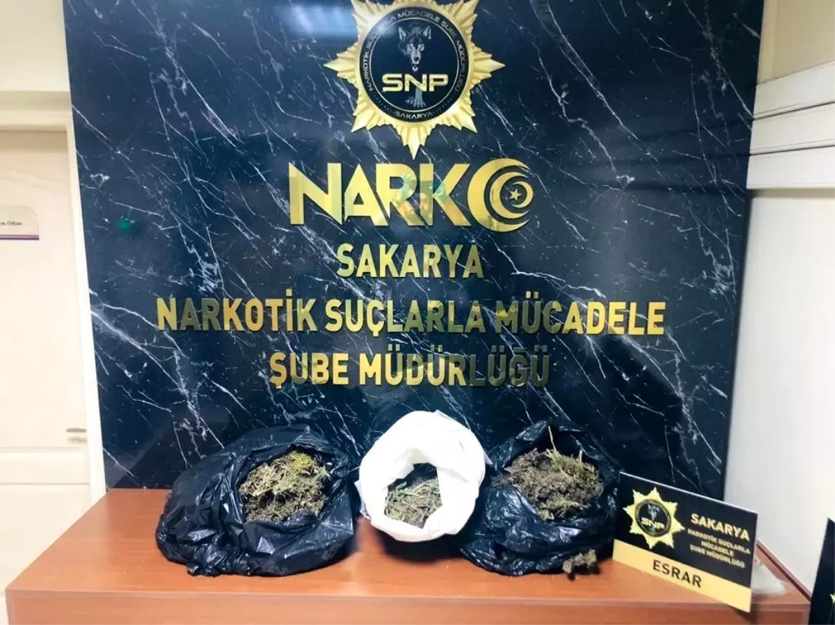 Son dakika haber! Sakarya'da uyuşturucu operasyonlarında 65 şüpheli yakalandı