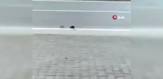 Samsun'da feci kaza: Direksiyon hakimiyetini kaybetti, kaldırımda yürüyen yayalara böyle çarptı