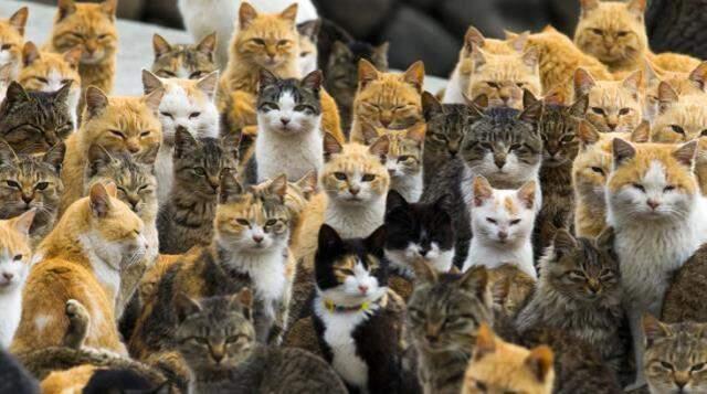 Son dakika gündem haberleri Son dakika gündem haberleri