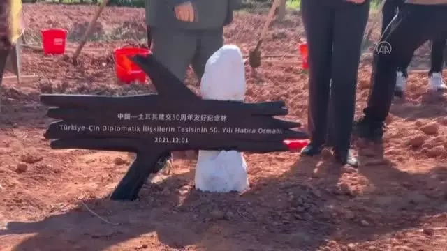 Türkiye Hatıra Ormanı kuruldu