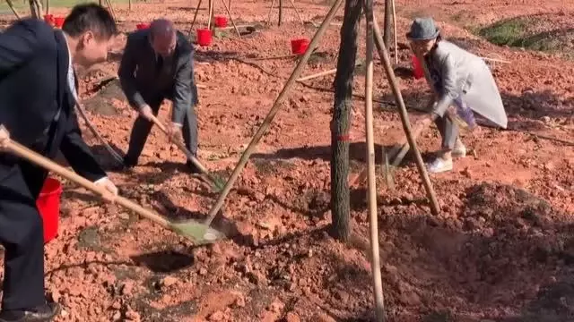 Türkiye Hatıra Ormanı kuruldu