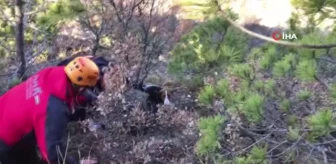 Bursa'da kayalıklarda mahsur kalan köpeği ekipler kurtardı