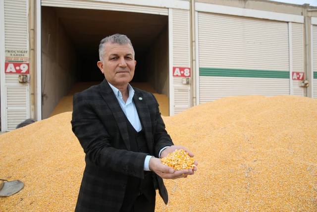 Mardin'de mısır hasadında bereket yaşanıyor