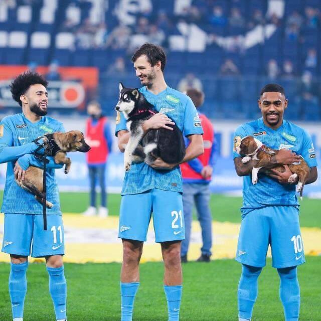 Rus futbol takımı Zenit, sahaya barınaktaki köpeklerle çıktı! İşte o anlar! Rus futbol takımı Zenit, sahaya barınaktaki köpeklerle çıktı! İşte o anlar!
