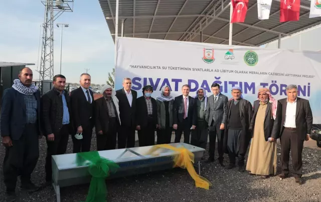 ŞANLIURFA'DA 1000 ÇİFTÇİYE HAYVAN SULUĞU DAĞITILDI