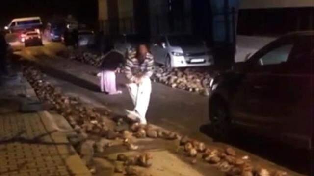 Yol şeker pancarı ile kaplandı, sürücüler ilerlemekte güçlük çekti