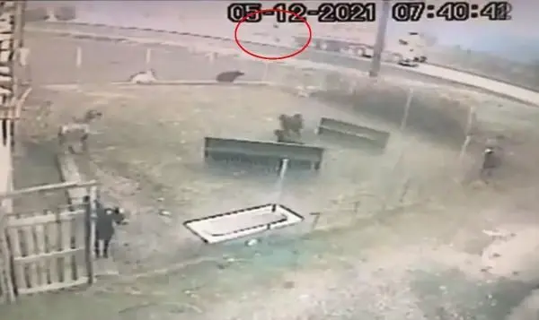 Son dakika haber... Burdur'da kazada ölen 2'si kardeş 4 kişi, Afyonkarahisar'da defnedildi (2)