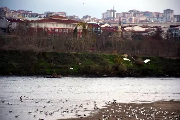 ÖZEL DOÇ. DR. ULUDAĞ: NEHİR YATAĞI TEMİZLENEREK TAŞKIN ÖNLENEMEZ