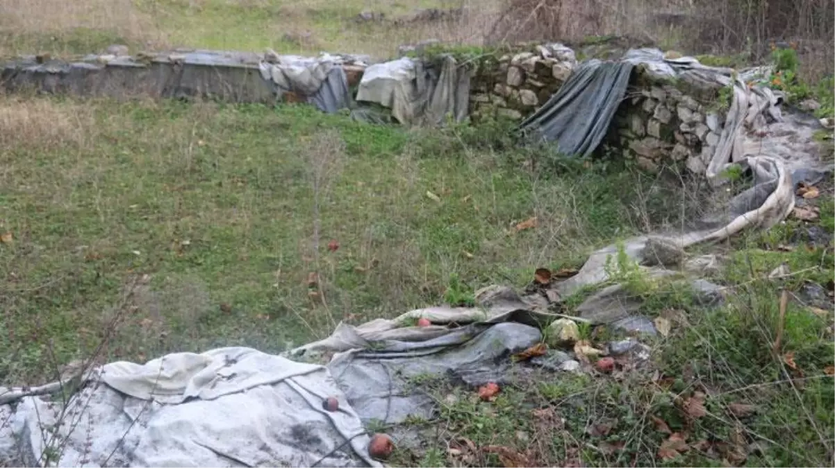 Köylü, evinin bahçesinde tesadüfen paha biçilemez eser buldu, yardımına İlber Ortaylı koştu