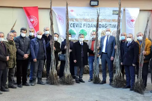 Gümüşhane'de 5 bin 322 adet ceviz fidanı daha toprakla buluştu