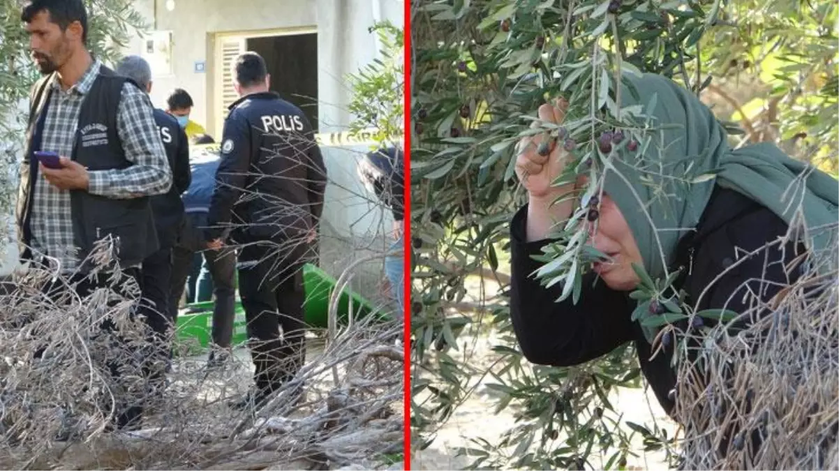 İlaç almak için eczaneye giden kadın, evde anne ve babasının cesedini buldu