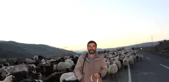 Gençler bu işi yapmak istemiyor! 10 bin lira maaşla çalışacak eleman bulamıyorlar Gençler bu işi yapmak istemiyor! 10 bin lira maaşla çalışacak eleman bulamıyorlar