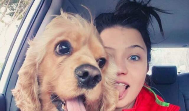 Tasmasız dolaştırılan pitbull tarafından parçalanan köpeğin sahipleri harekete geçti