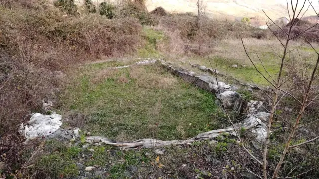 Köylü, evinin bahçesinde tesadüfen paha biçilemez eser buldu, yardımına İlber Ortaylı koştu