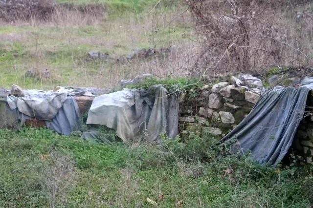 Köylü, evinin bahçesinde tesadüfen paha biçilemez eser buldu, yardımına İlber Ortaylı koştu