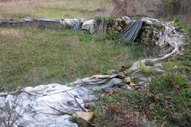Köylü, evinin bahçesinde tesadüfen paha biçilemez eser buldu, yardımına İlber Ortaylı koştu