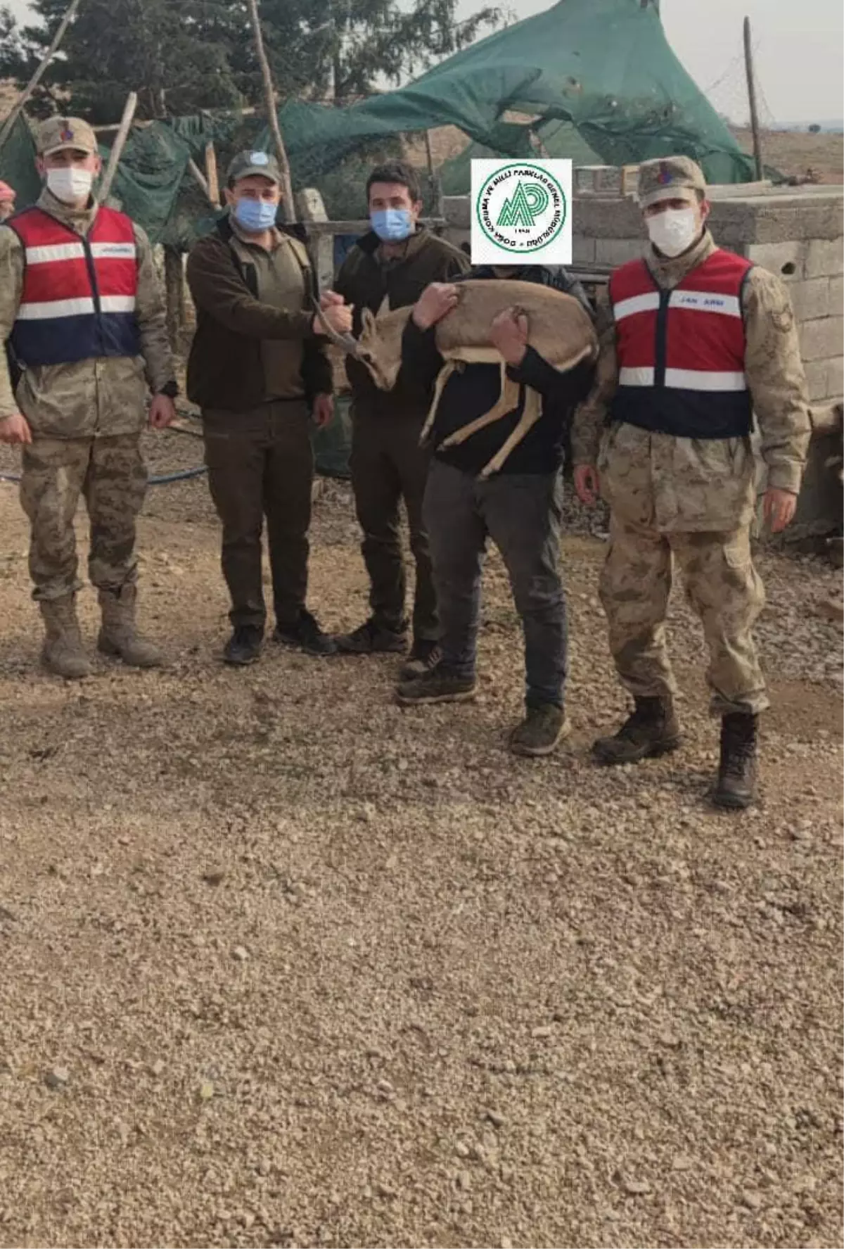 Şanlıurfa'da izinsiz ceylan besleyen kişiye idari para cezası uygulandı