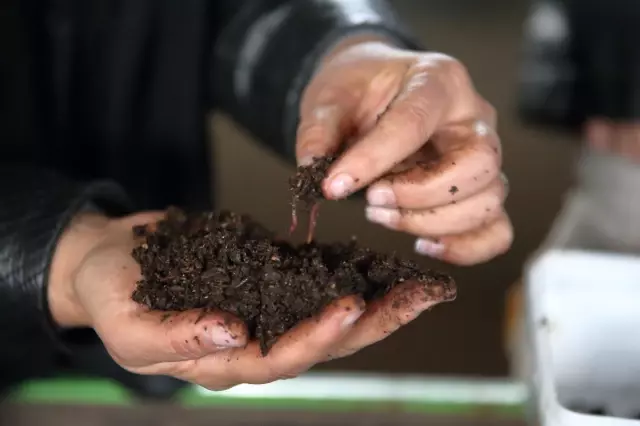 Solucan gübresi üreten kadın girişimci kapasitesini 2 yılda 9 kat artırdı
