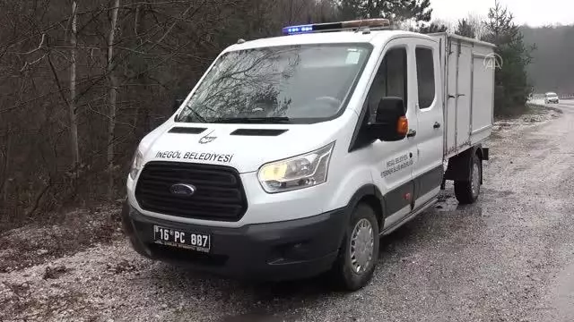 Dere yatağındaki yaralı ayı yavrusu uzun uğraşlarla kurtarıldı