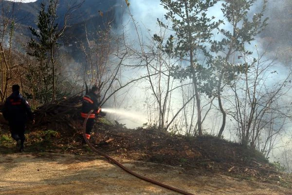 Trabzon'da 4 noktada orman yangını