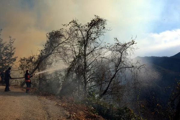 Trabzon'da 4 noktada orman yangını