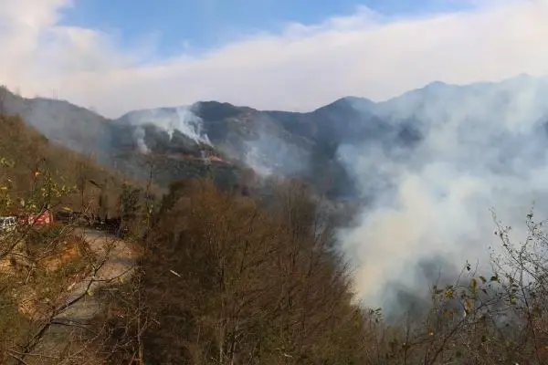 Trabzon'da 4 noktada orman yangını