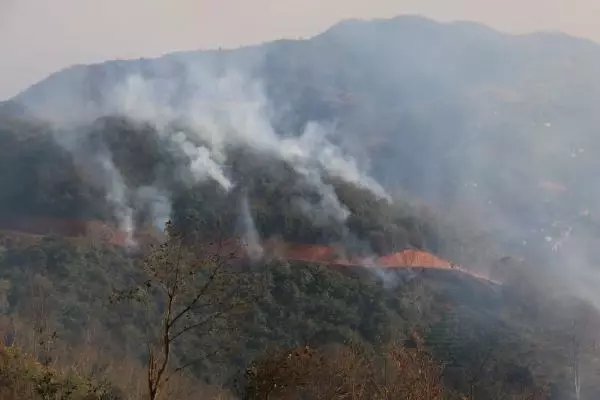 Trabzon'da 4 noktada orman yangını