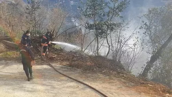 Trabzon'da 4 noktada orman yangını