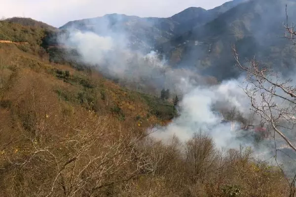 Trabzon'da 4 noktada orman yangını