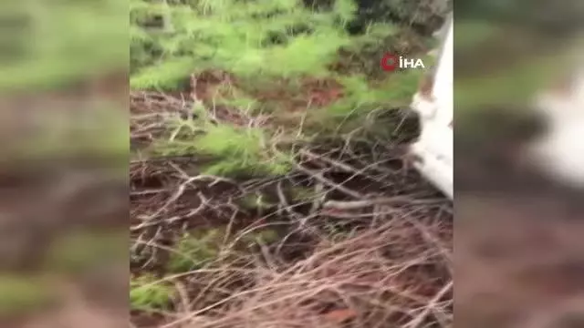 İçerisine yatak yorgan attığı minibüsle dolaşıp hırsızlık yapan şüpheli, çamura saplanınca yakalandı