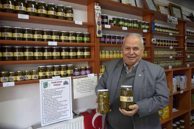 Herkesin zehirli bildiği kapari karpuzunu dünyaya ihraç ediyor