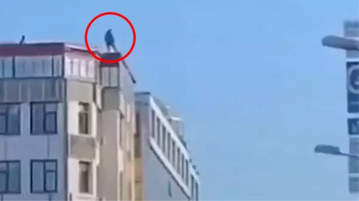 Duyanlar şaştı kaldı! İntihar girişiminde bulunan vatandaşa trajikomik şampiyonluk çağrısı