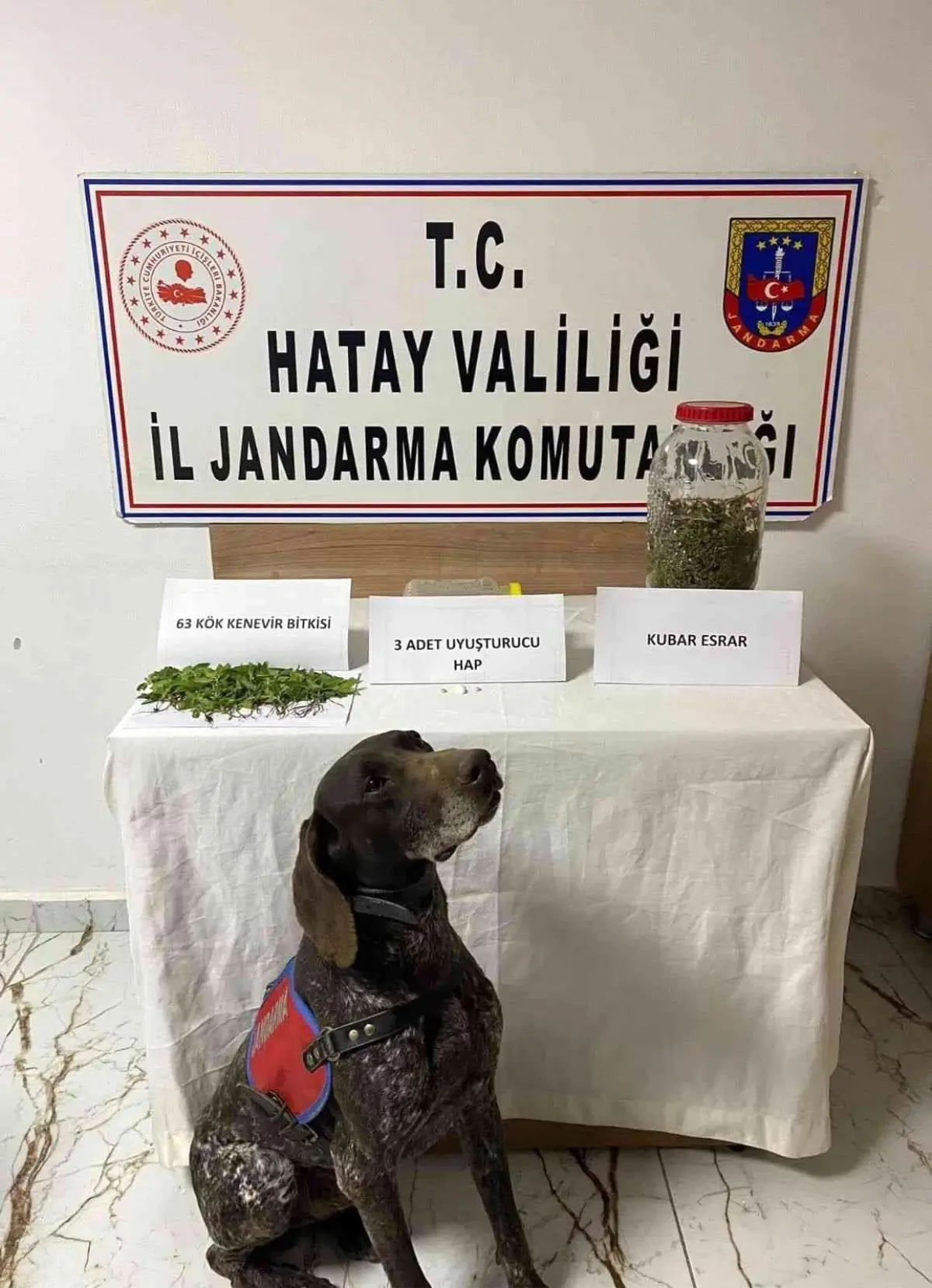 Kırıkhan'da uyuşturucu operasyonu
