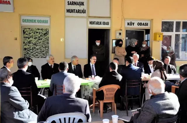 Bilecik'te zeytin hasadı yapıldı