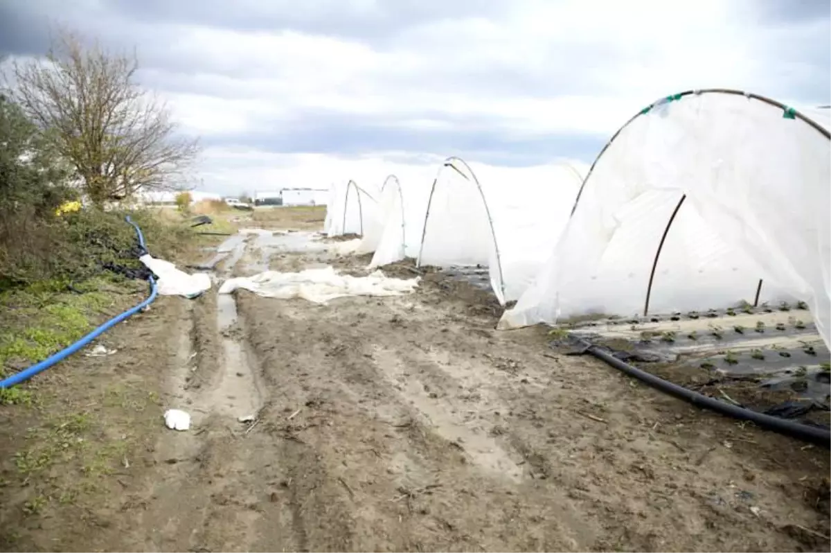 Büyükşehir çiftçinin yaralarını sarmak için hasat tespiti yapıyor