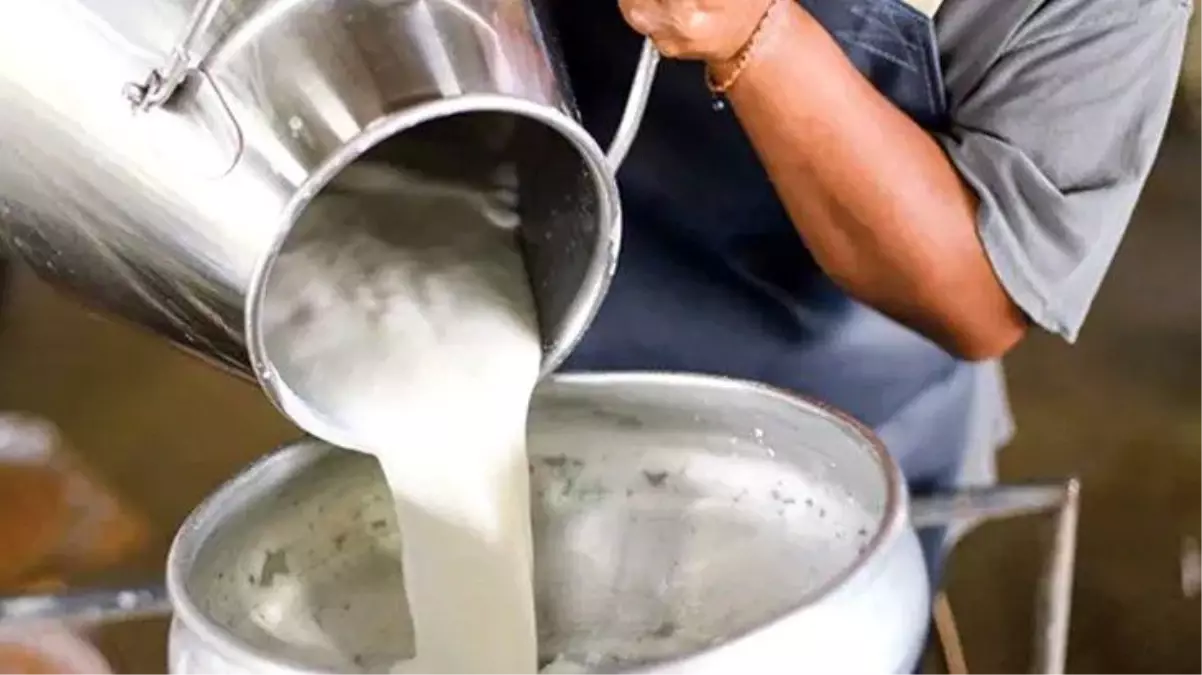 Süt üreticisi isyanda: Bizden 3 liraya alıyorlar, marketlerde 18 liradan satılıyor